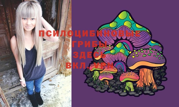 прущая мука Лабытнанги