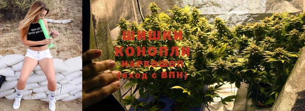 каннабис Ладушкин