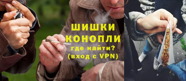 гидра Лагань