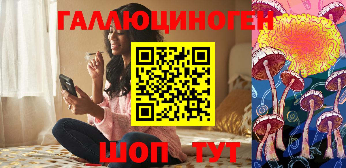 купить наркотик  Псилоцибиновые грибы GOLDEN TEACHER  Вход с VPN  Юрга 